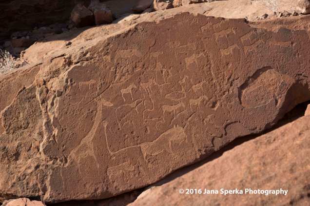 Petroglyphs-Twyfelfontein_4web